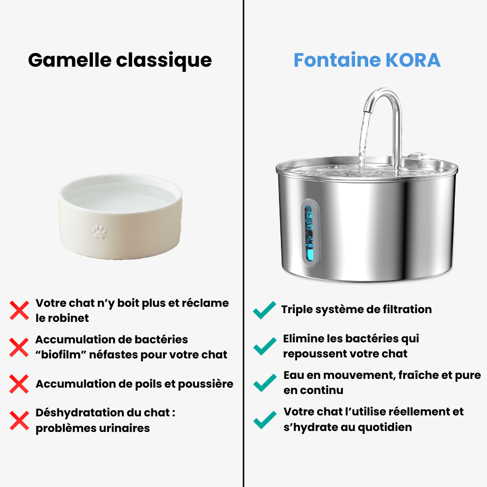 Fontaine KORA